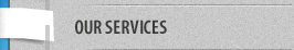 Our services